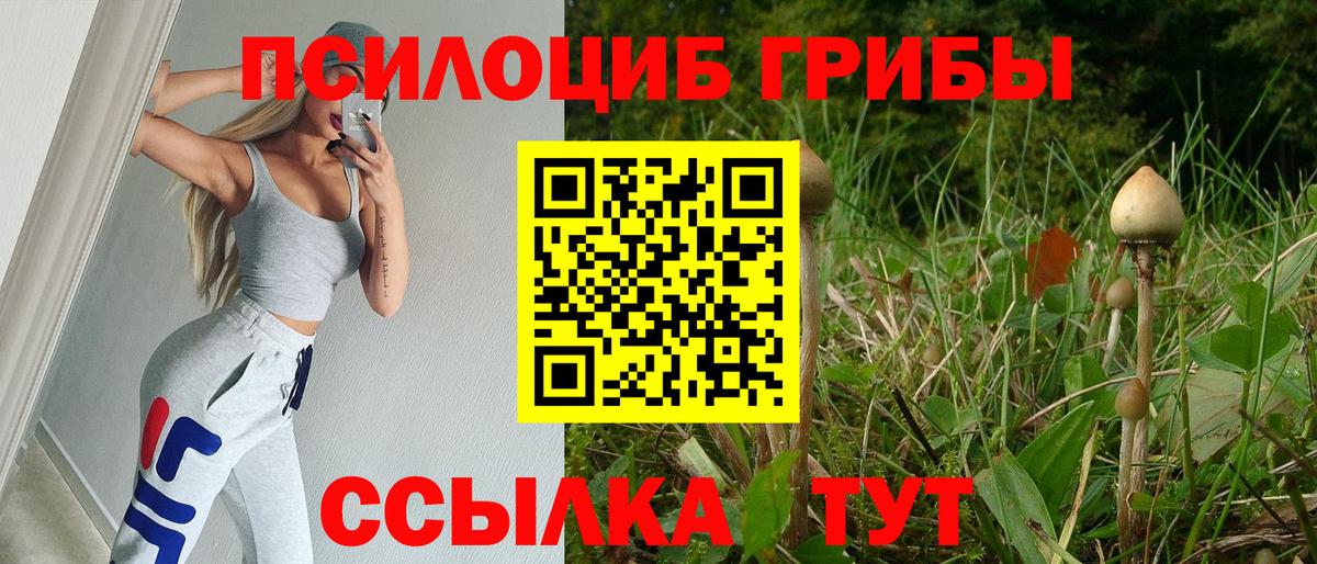 Псилоцибиновые грибы ЛСД  Вход с VPN  Галлюциногенные грибы MAGIC MUSHROOMS  Кулебаки 